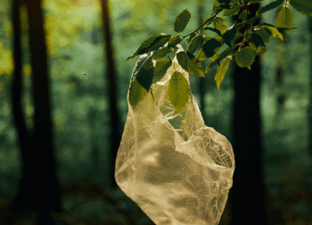 Environment Mobile